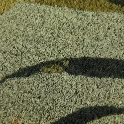 Felpudos<CASA Bambou Felpudo Verde