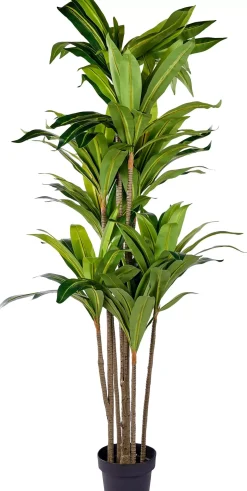 Plantas Artificiales<CASA Brazi Planta Verde