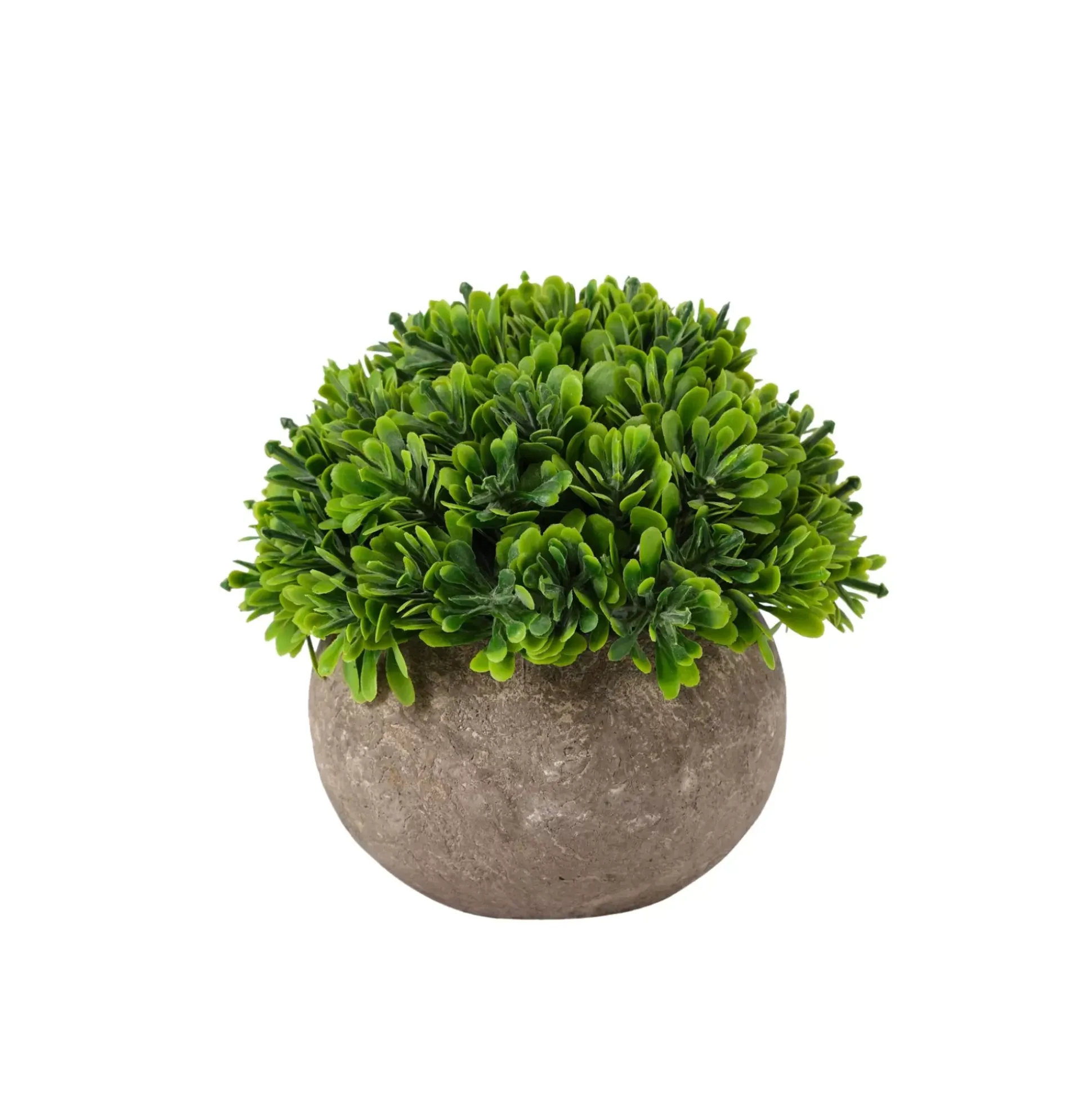 Plantas Artificiales<CASA Buxus Planta Varios Colores