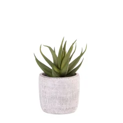Plantas Artificiales<CASA Cement Planta Artificial Gris