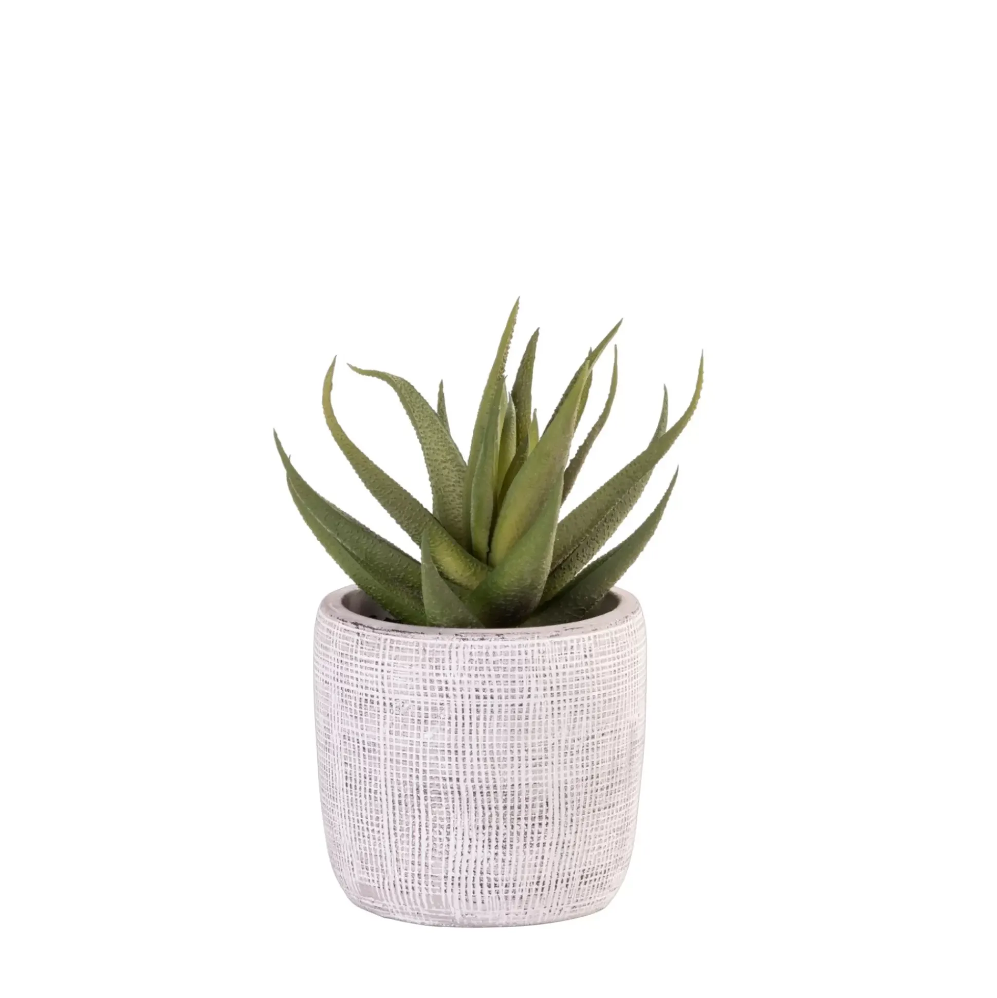 Plantas Artificiales<CASA Cement Planta Artificial Gris
