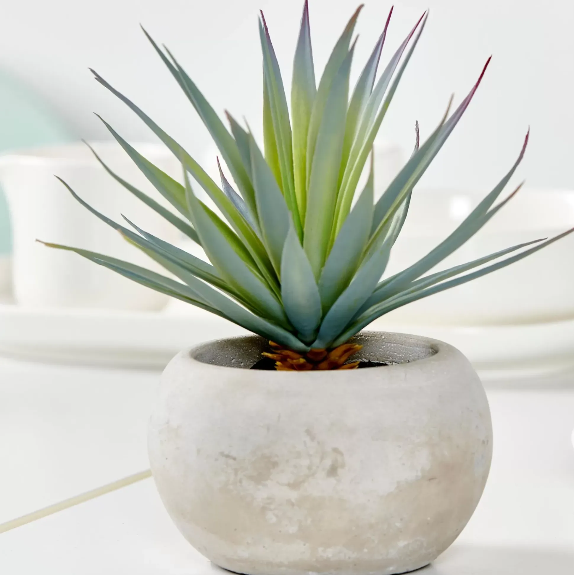 Plantas Artificiales<CASA Cement Planta Crasa Art En Tarro Gris