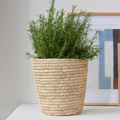 Cestas De Almacenaje<CASA Doebie Cesta Natural