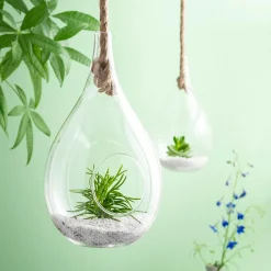 Colgadores Para Plantas<CASA Drop Gota De Vidrio Transparente