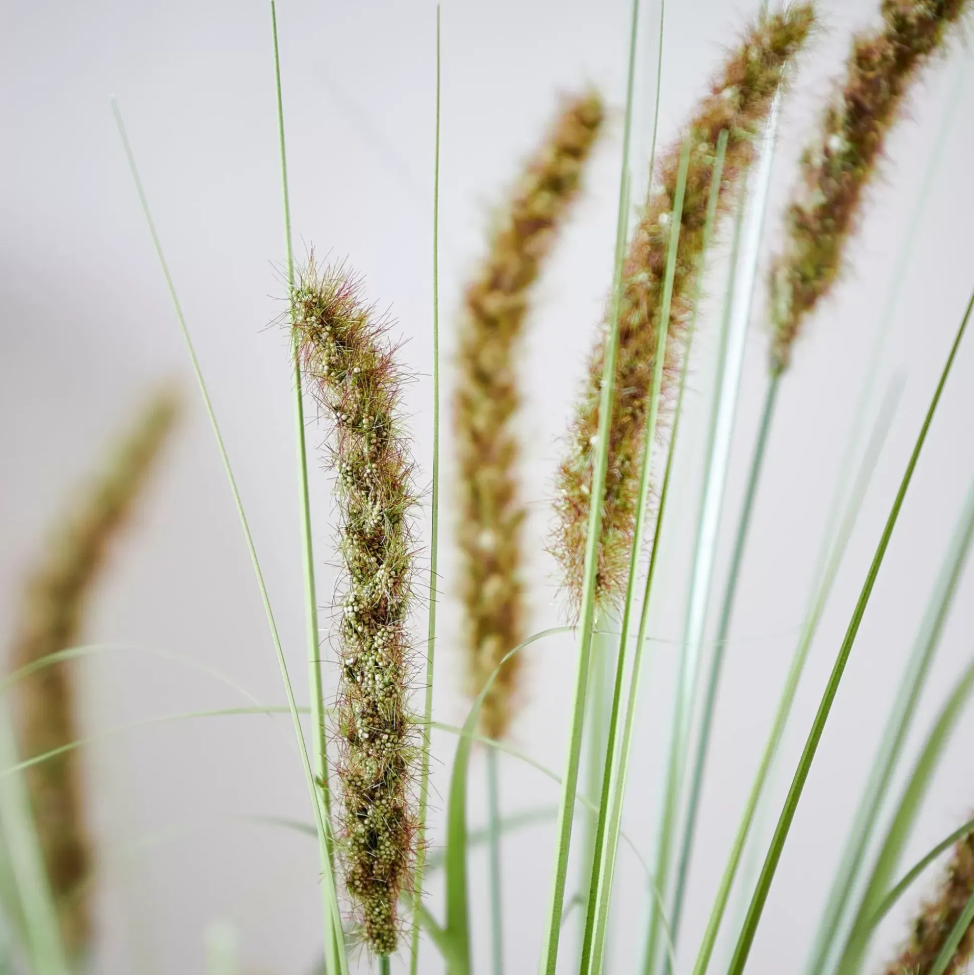 Ramos Artificiales<CASA Grass Tallo De Carrizo Artificial Verde