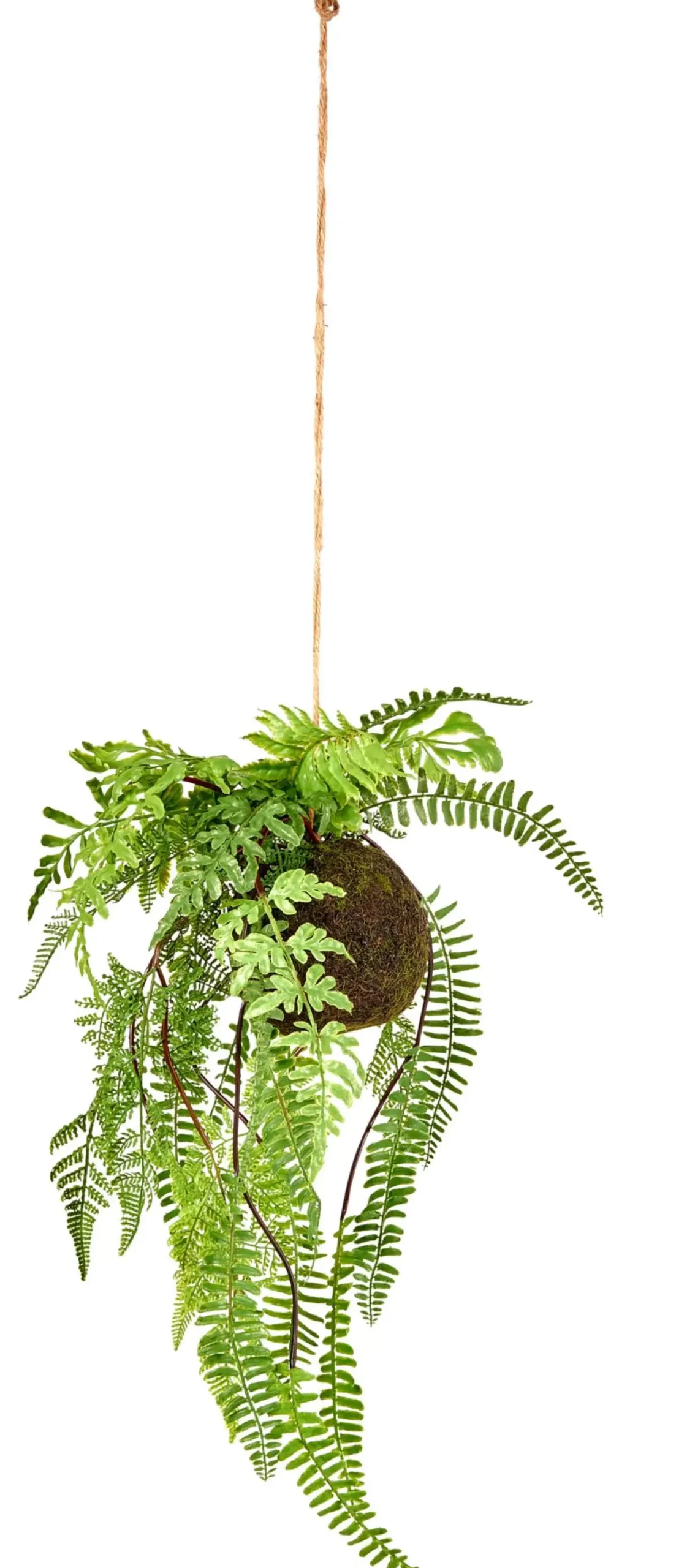 Plantas Artificiales<CASA Greenery Macetero Colgante Con Helecho Verde