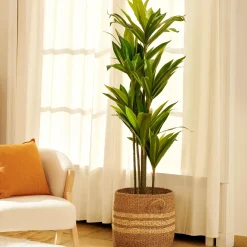 Cestas De Almacenaje<CASA Rayas Cesta M Natural