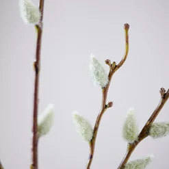 Ramos Artificiales<CASA Salica Rama Sintetico Verde