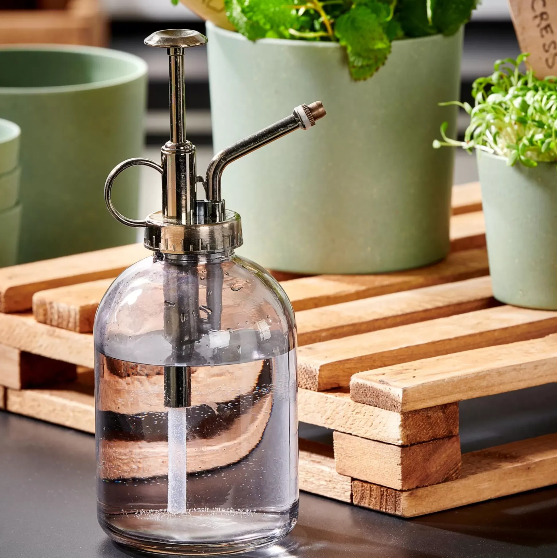 Colgadores Para Plantas<CASA Smoky Vaporizador De Agua Gris