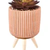 Plantas Artificiales<CASA Stripe Planta Crasa Art En Tarro Multicolor
