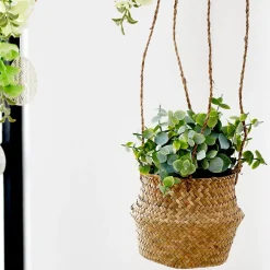 Plantas Artificiales<CASA Terra Planta En Maceta Blanco, Verde