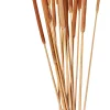 Flores Artificiales<CASA Typha Canas Juego De 15 Natural