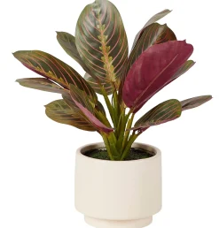 Plantas Artificiales<CASA Zebrina Planta Artificial