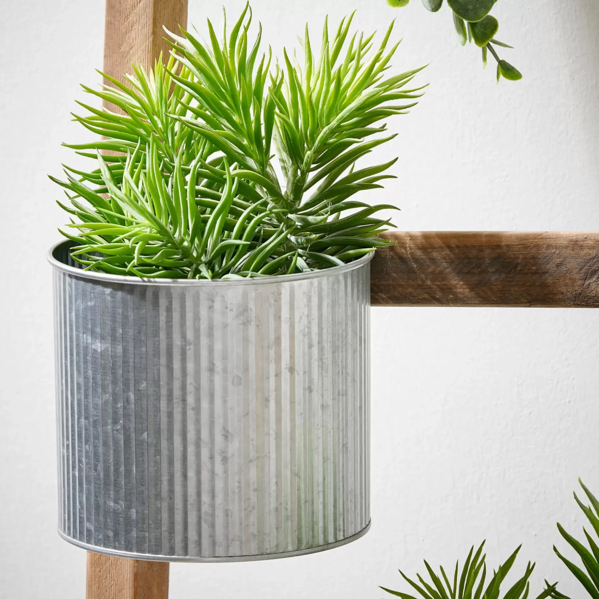 Decoracion Jardín<CASA Zinc Macetero Colgante